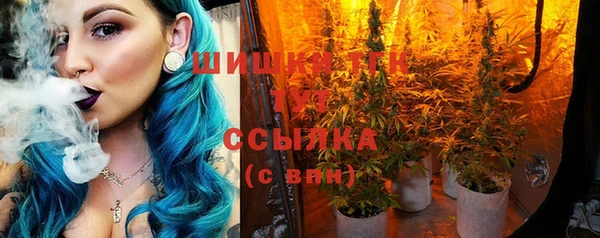 меф Медвежьегорск