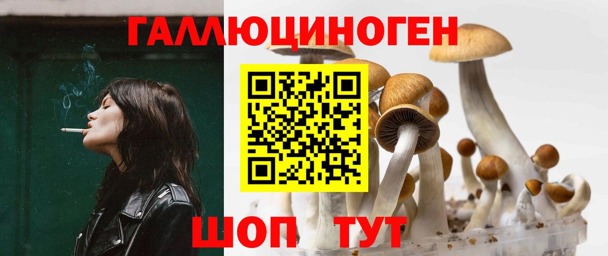 Псилоцибиновые грибы MAGIC MUSHROOMS Белгород